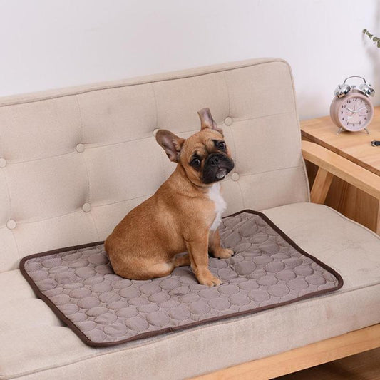 Pet Breathable Sofa Blanket